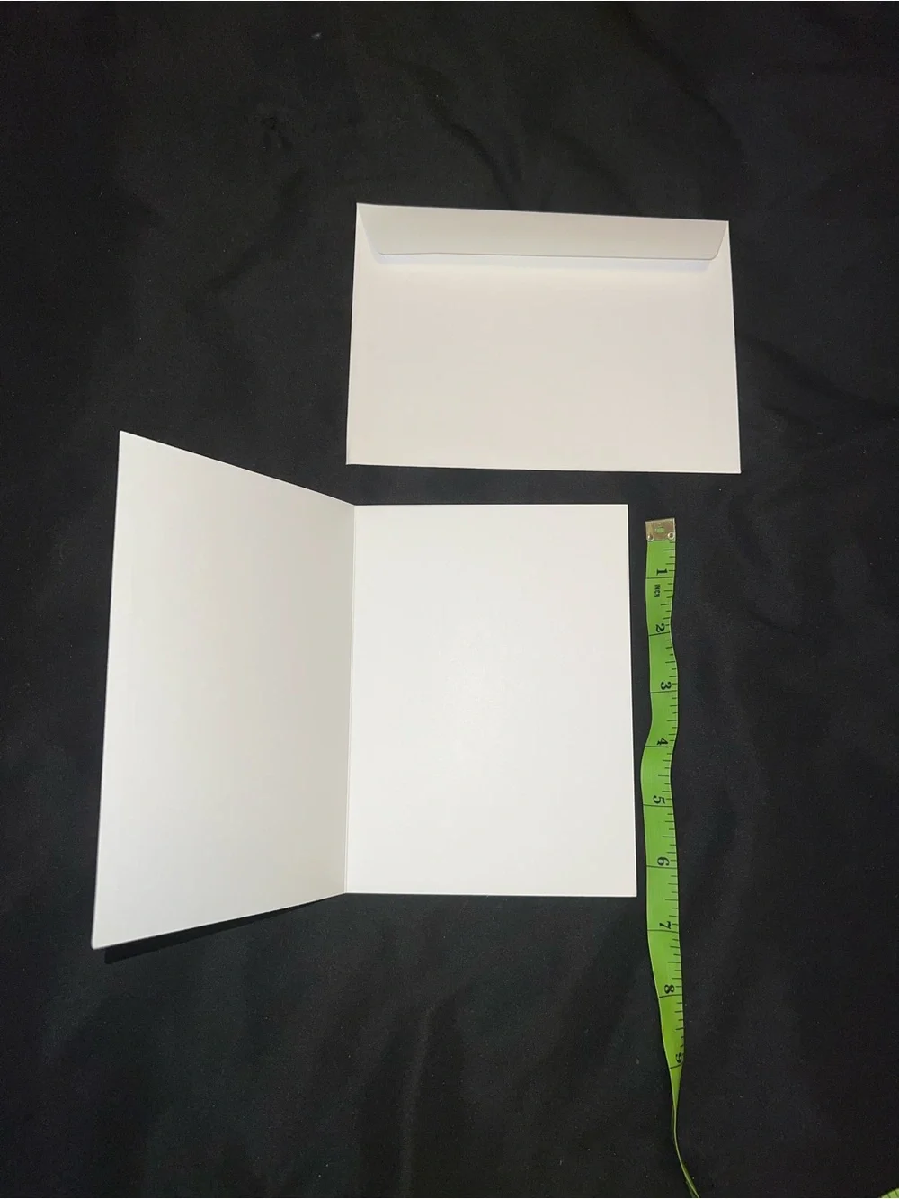 Eagle Blank Greeting Card